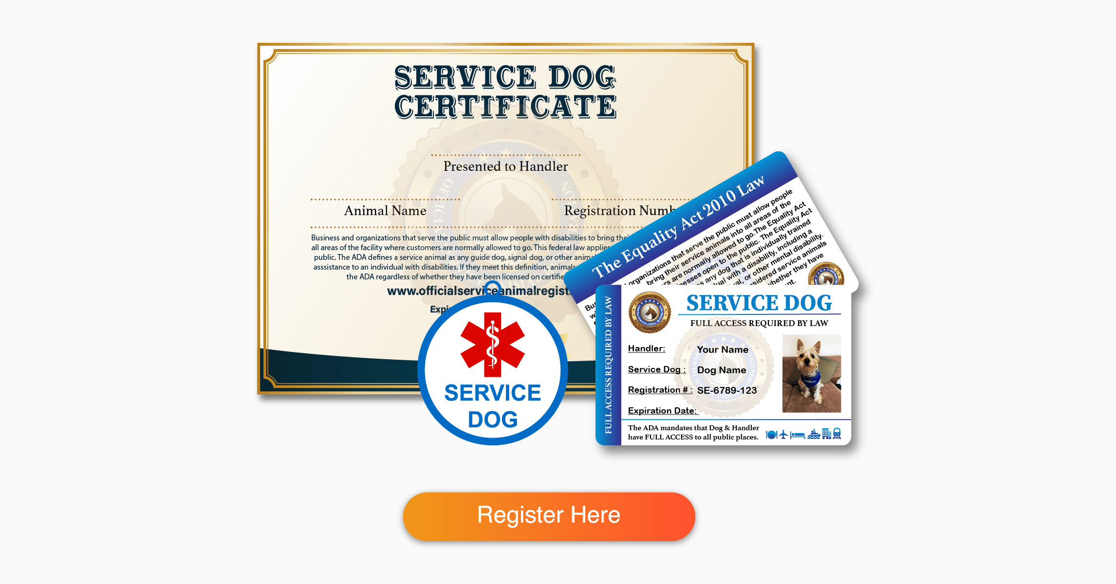 How to Get a Service Dog for Anxiety Qualification, Cost and Training